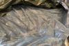 orb-2412280805-od-081559331_6.jpg