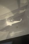 orb-2501170823-od-081559853_7.jpg