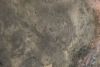 orb-2501302805-od-081560097_8.jpg