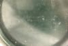 orb-2412063513-od-081558697_7.jpg
