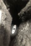 orb-2504212845-od-081561803_5.jpg