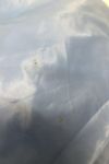 orb-2505082840-od-081562042_6.jpg