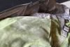 orb-2506040804-od-081561621_6.jpg