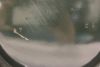 orb-2506100516-od-081530141_7.jpg